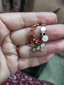 Anti Ternish Earings