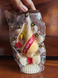 Handmade natural Seashell &amp; Coral Decorative