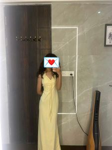Elegant Pastel Ethnic Gown