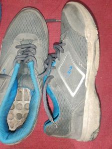 USED Gray Campus Shoes