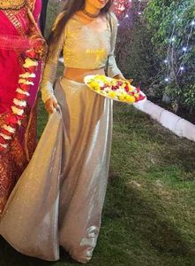 Sparkling Silver Lehenga Choli Set