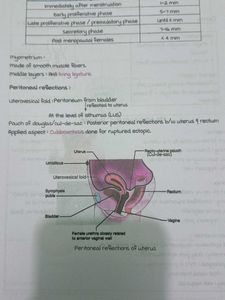 Gynaecology Marrow Edition 8