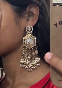 Exquisite Dangle Earrings