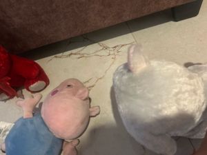 Plush Toys Set - Peppa Pig, Bunny &amp; Bear