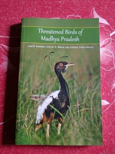 Threatened Birds Of Madhya Pradesh
