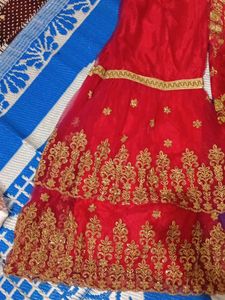 Rose Pink &amp; Gold Embroidered Salwar Kameez