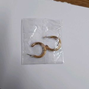 Gold Tone Hoop Earrings