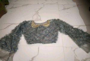 Net Blouse
