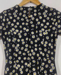Daisy Print Fit &amp; Flare Dress