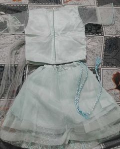 Sparkling Mint Green Lehenga Choli Set