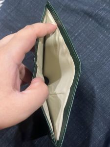 Stylish Green Wallet