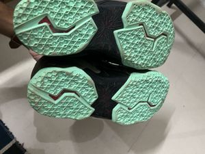 Nike LeBron Sneakers
