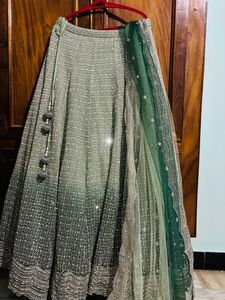 Pastel Shaded Green  Designer Lehenga