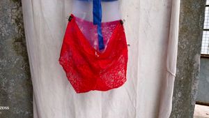 I. Lace Briefs