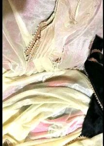 Elegant Embellished ready to wear saree blous