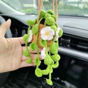 Crochet Hanging Pot