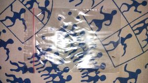 20 Zip Lock Bags