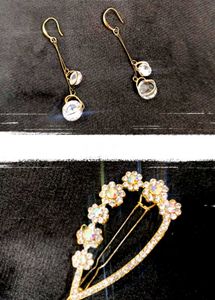 Elegant Crystal Dangle Earrings & Hair Clip Set