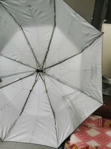 Marshal Umbrella