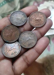 horse coin 5 pcs