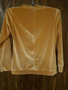 Bedazzled Tan Color Velvet Top