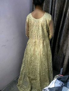 Elegant Yellow Embroidered Gown