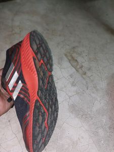 Adidas Sports Shoes