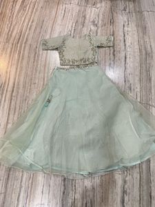 Elegant Mint Green Embellished Lehenga Choli