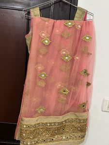 Designer Lehenga Choli