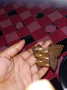 combo of 2 ppElegant Butterfly Clature