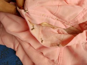 Elegant Peach Saree
