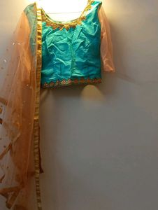 Sparkling Golden Lehenga Choli