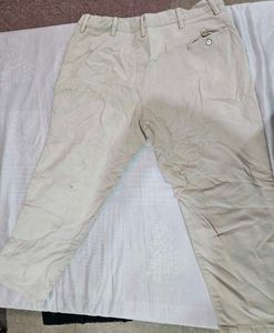 Classic Beige Pants