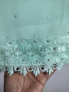 Stunning Pastel Green Embellished Saree