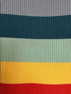 Striped Rainbow Crop Top