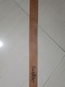 Men's Belt