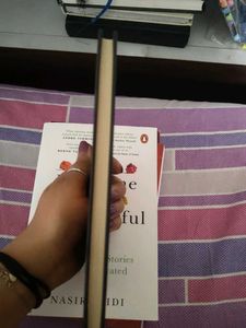 The Pursuit of Consciousness Hardcover