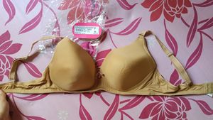 Enamor 38C Skin colour padded