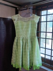Green Lace Skater Dress