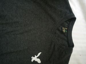 Grey T-shirt (female)