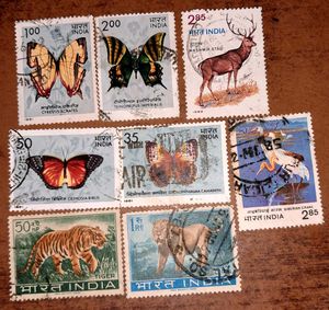 Set of 1980s Vintage butterfly &amp; wildlife