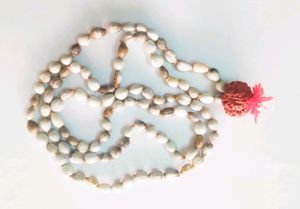 Lotus Seed Mala Beads