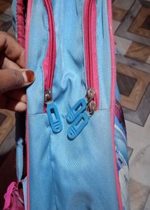 Frozen School bag with free bottlefor Kids