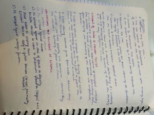 evidence law notes (BSA)