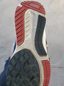 Stylish Blue &amp; Grey Running Shoes