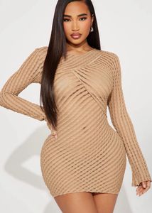 Sheer Knit Mini Dress