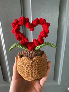 Handmade Crochet Heart Flower Pot