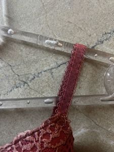 Beautiful Lace Padded Underwire Bra