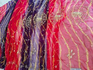 Embroidered darbari Saree