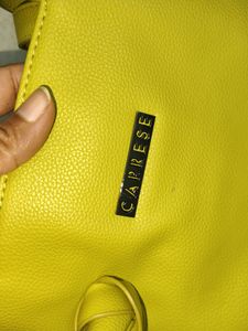Caprese Handbag New Condition Like Green
